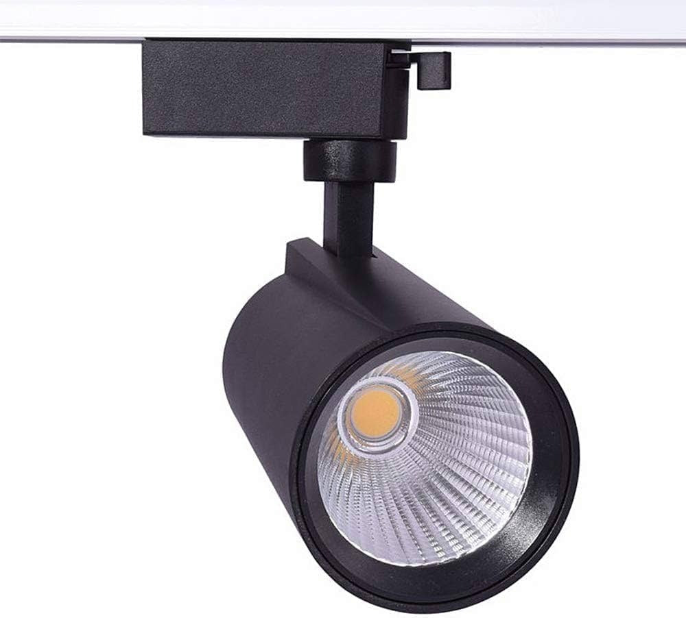 Track Light Spot Light | Focus Light (for Track System) | Track Lights | Aluminium Black Body Lighting Fixtures for Accent, Retail, Kitchen, Ceiling (20W Warm White)