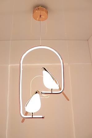 Y1549 | Metal Chirpy Twin Bird Pendant Hanging Light