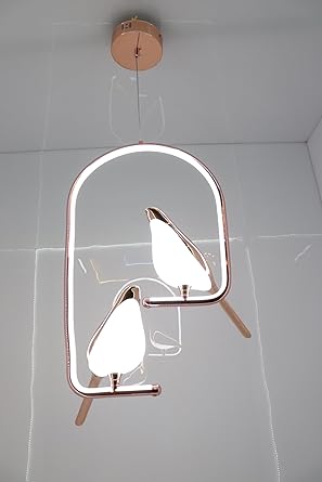 Y1549 | Metal Chirpy Twin Bird Pendant Hanging Light