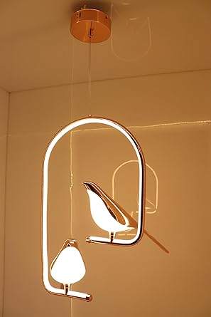 Y1549 | Metal Chirpy Twin Bird Pendant Hanging Light