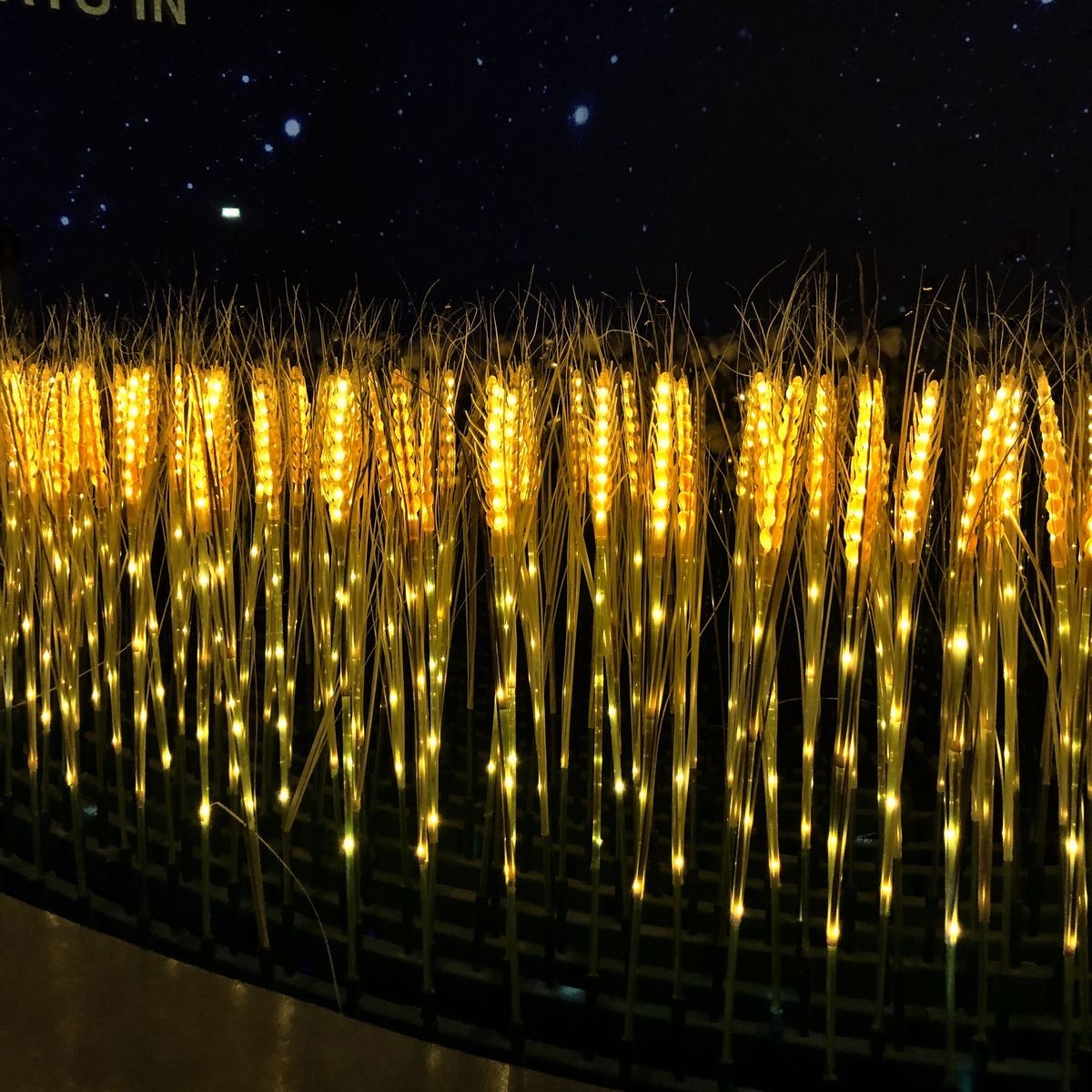 Wheat Lights Rainproof (Set Of 10 pcs)
