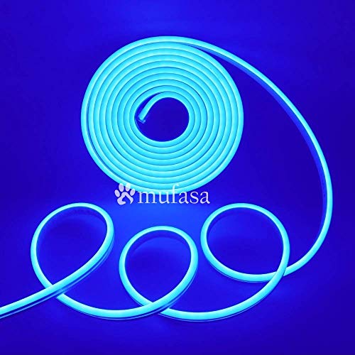 Neon Flexible Strip Light 5Mtr. (Without Adapter)