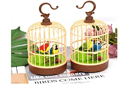 Humming Bird Hanging Beautiful Bird pet Toy in Hanging cage with Music Singing Moving Chirping for Kids/Adult Multicolor