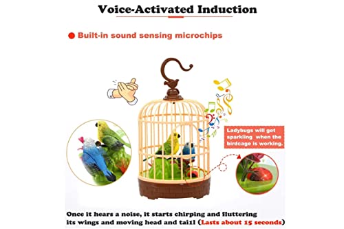 Humming Bird Hanging Beautiful Bird pet Toy in Hanging cage with Music Singing Moving Chirping for Kids/Adult Multicolor