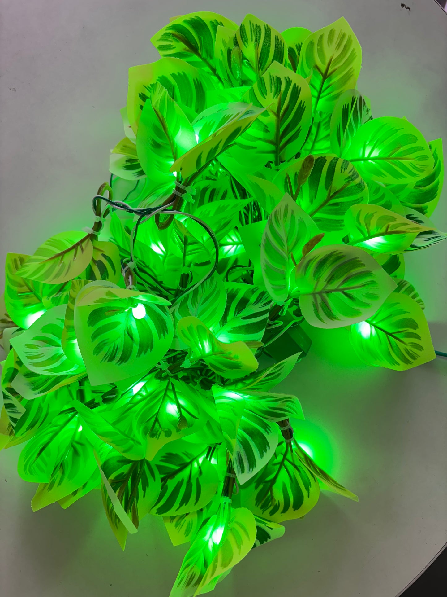 Money Plant LED Decorative Light