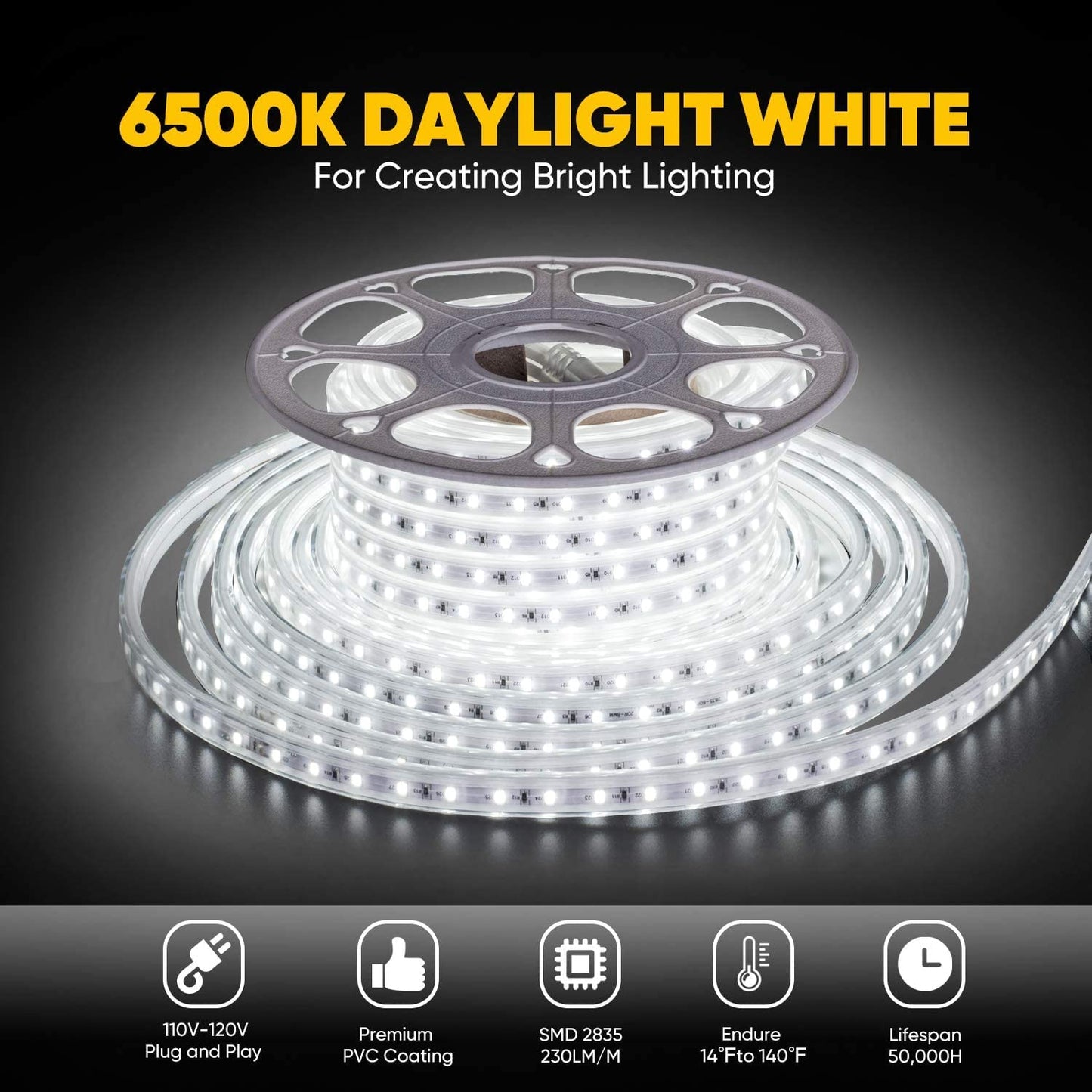 Premium Cove Rope Light : 50 meters roll : 120 Led per meter