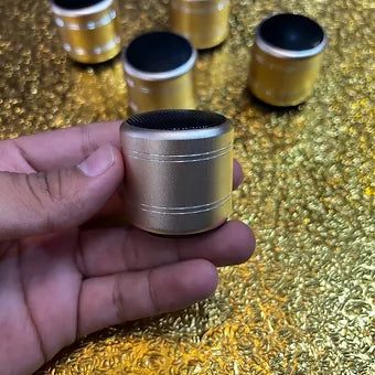 Mini Gold Speaker 6W Rechargeable