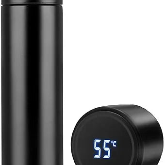 Temperature Water Bottle