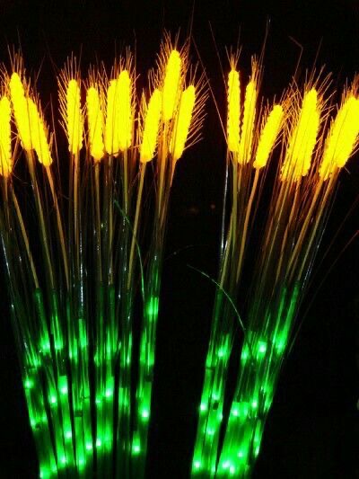 Wheat Lights Rainproof (Set Of 10 pcs)