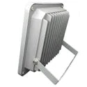 50W Double Driver Flood Light 1 Year Warranty