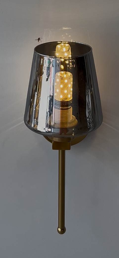 Chrome Glass Wall Lamp