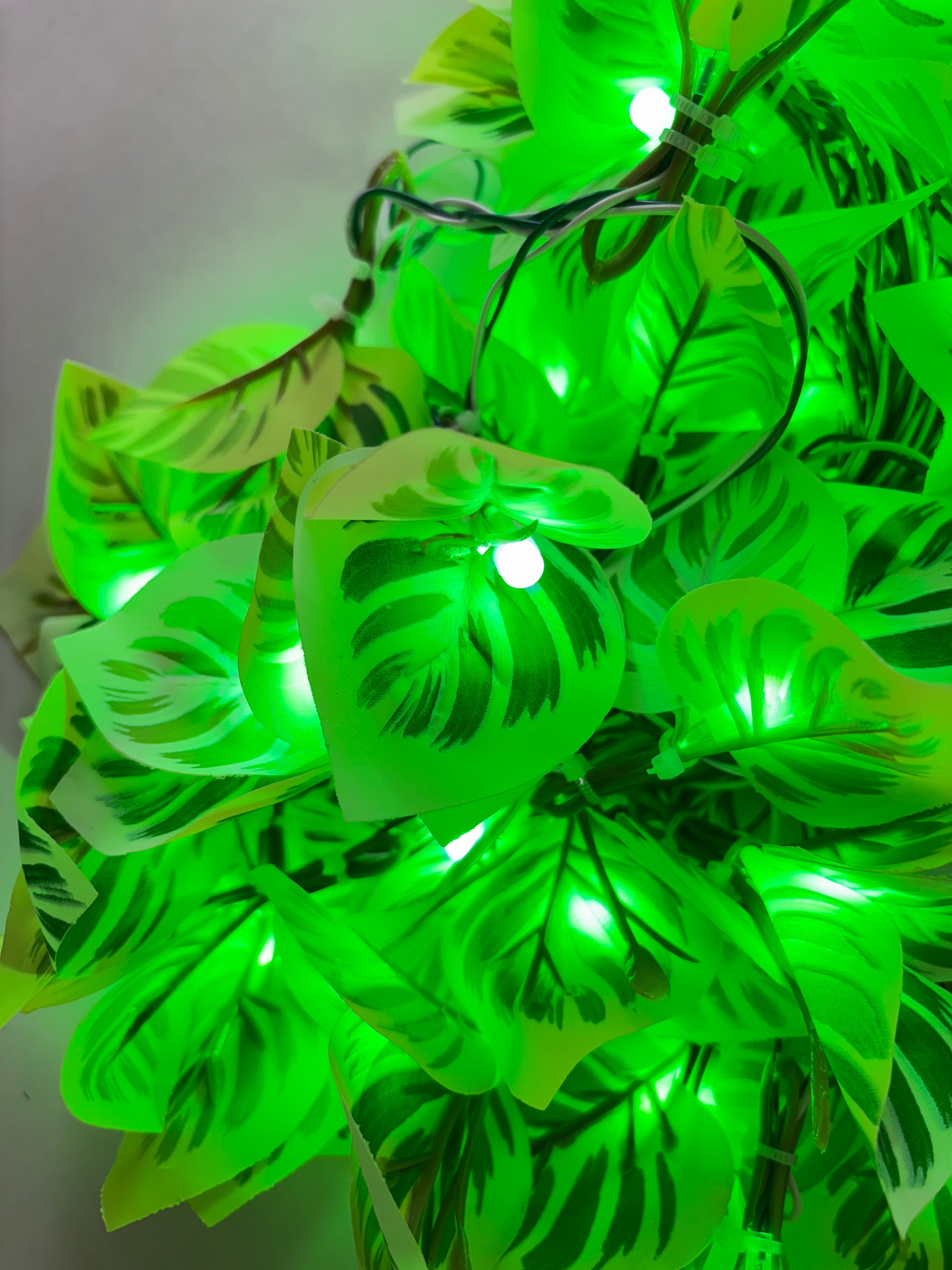 Led Maney Money Plant LED Decorative Light – 8M Lights