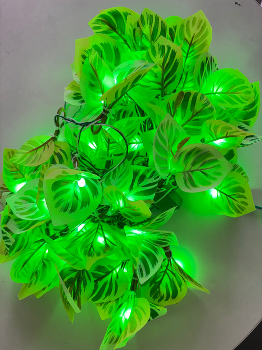 Money Plant LED Decorative Light