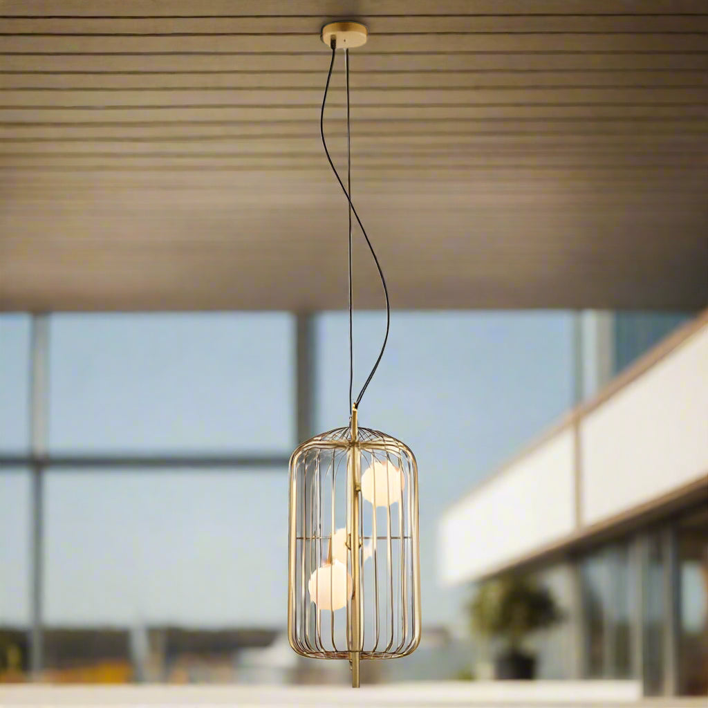 Modern Cage Pendant Light ( D3002 )